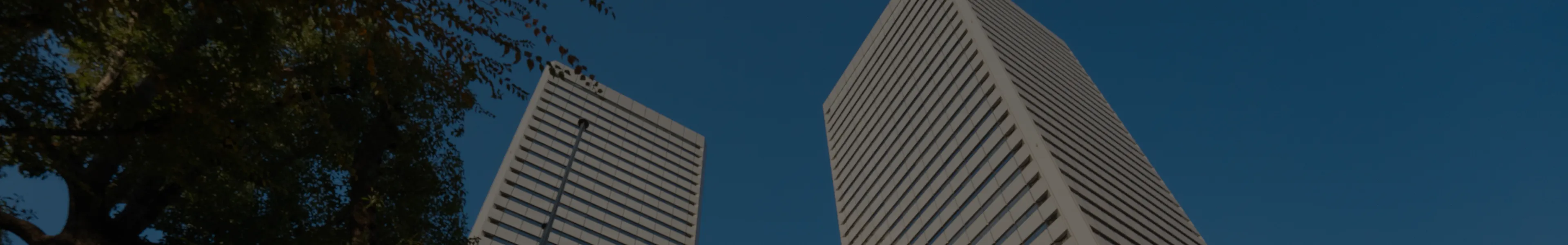 情報セキュリティ基本方針のヘッダー画像